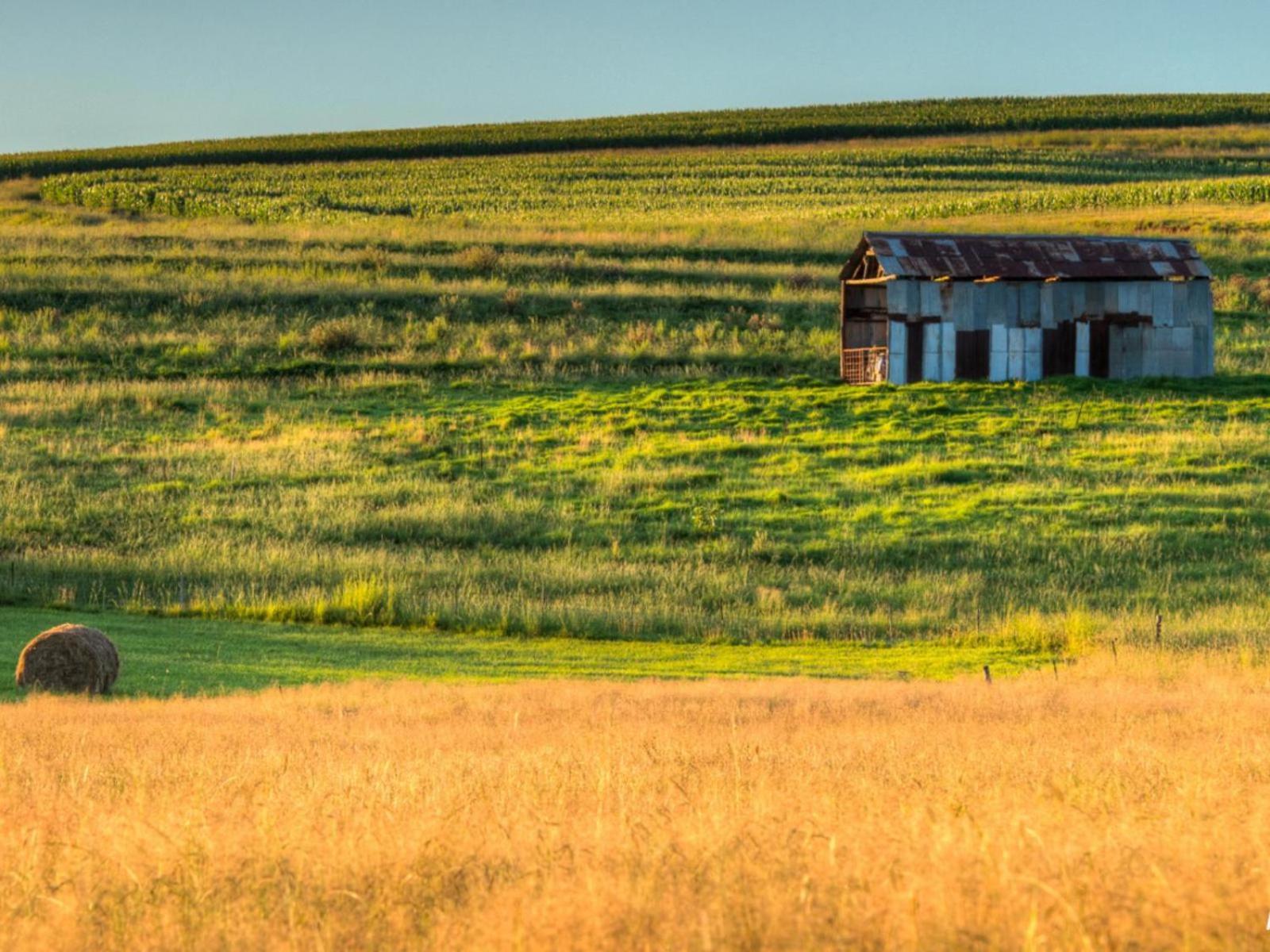 Hotel Flitwick Ranch à Swartberg Extérieur photo