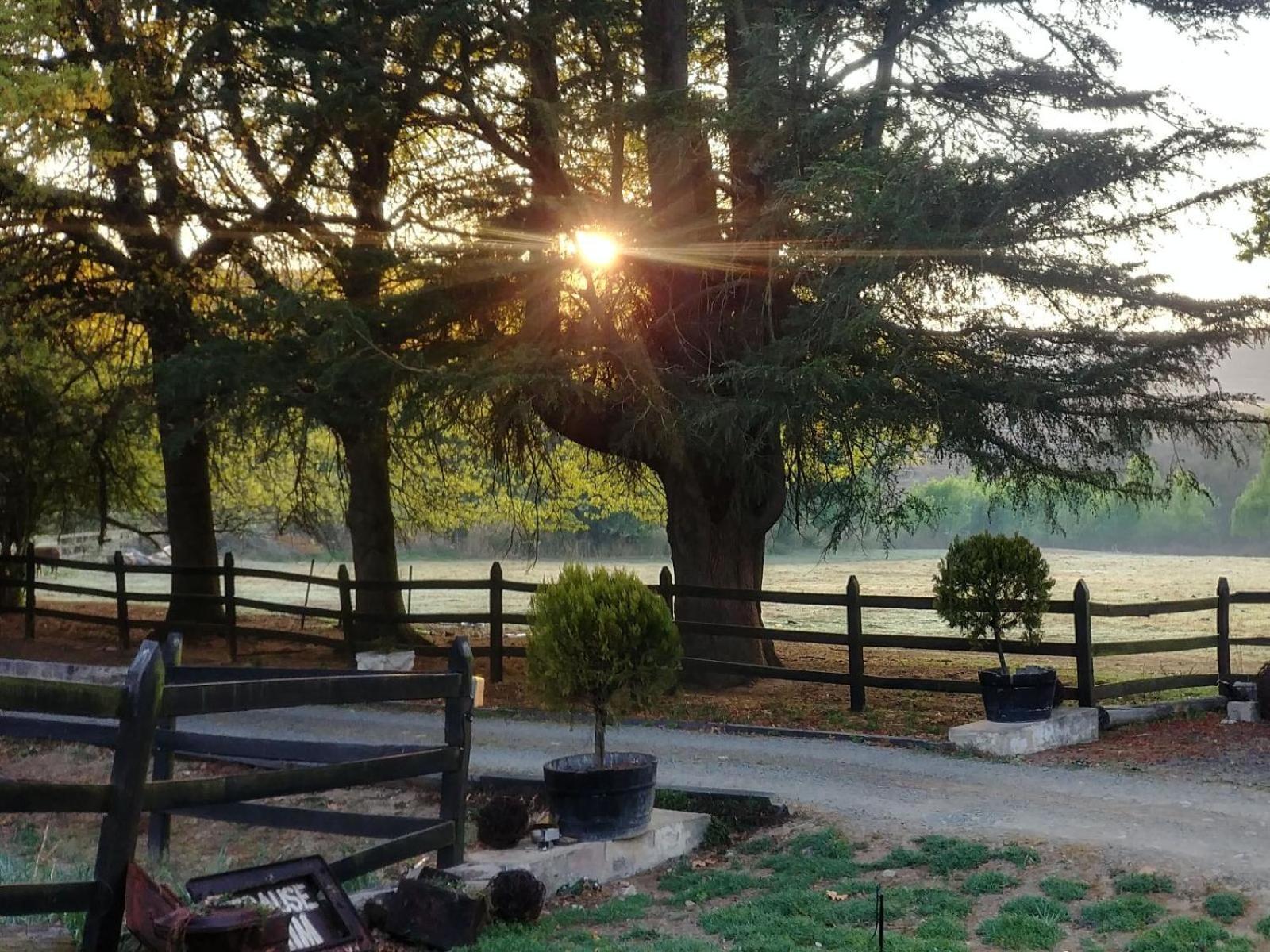 Hotel Flitwick Ranch à Swartberg Extérieur photo